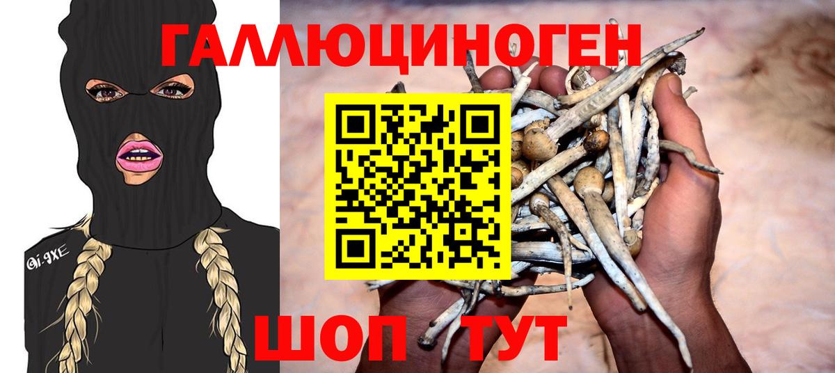 Александров  Галлюциногенные грибы мухоморы  Вход с VPN  Галлюциногенные грибы Psilocybine cubensis 
