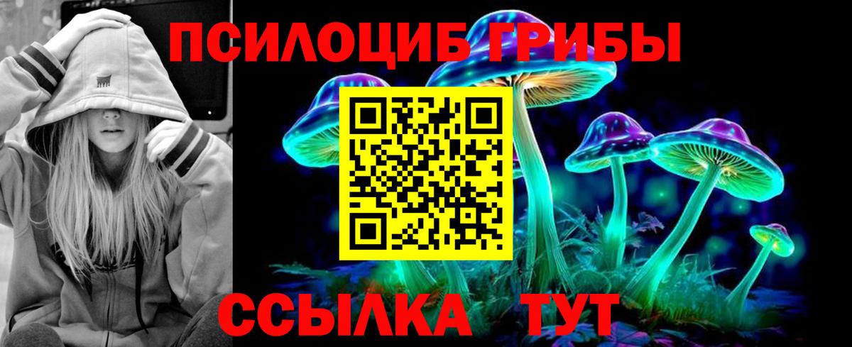 Галлюциногенные грибы мицелий Александров